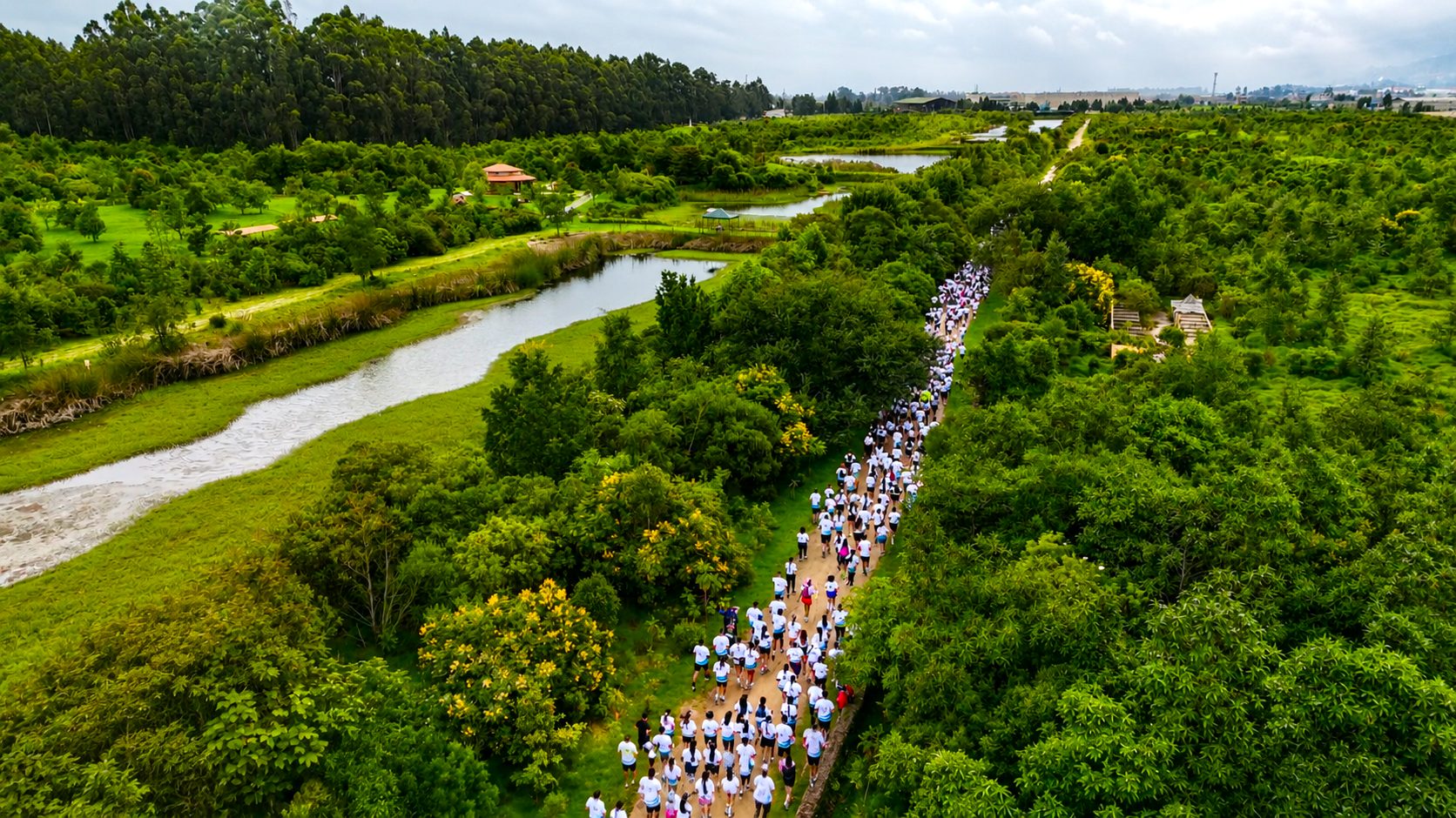 Carrera Rio Bogota unio deporte y restauracion ambiental con siembra de arboles en Cundinamarca