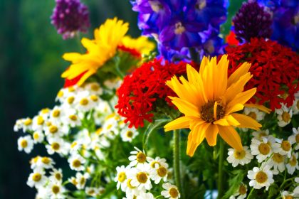 Colombia se consolidad en exportacion de flores y conquista los mercados mas exigentes del mundo2