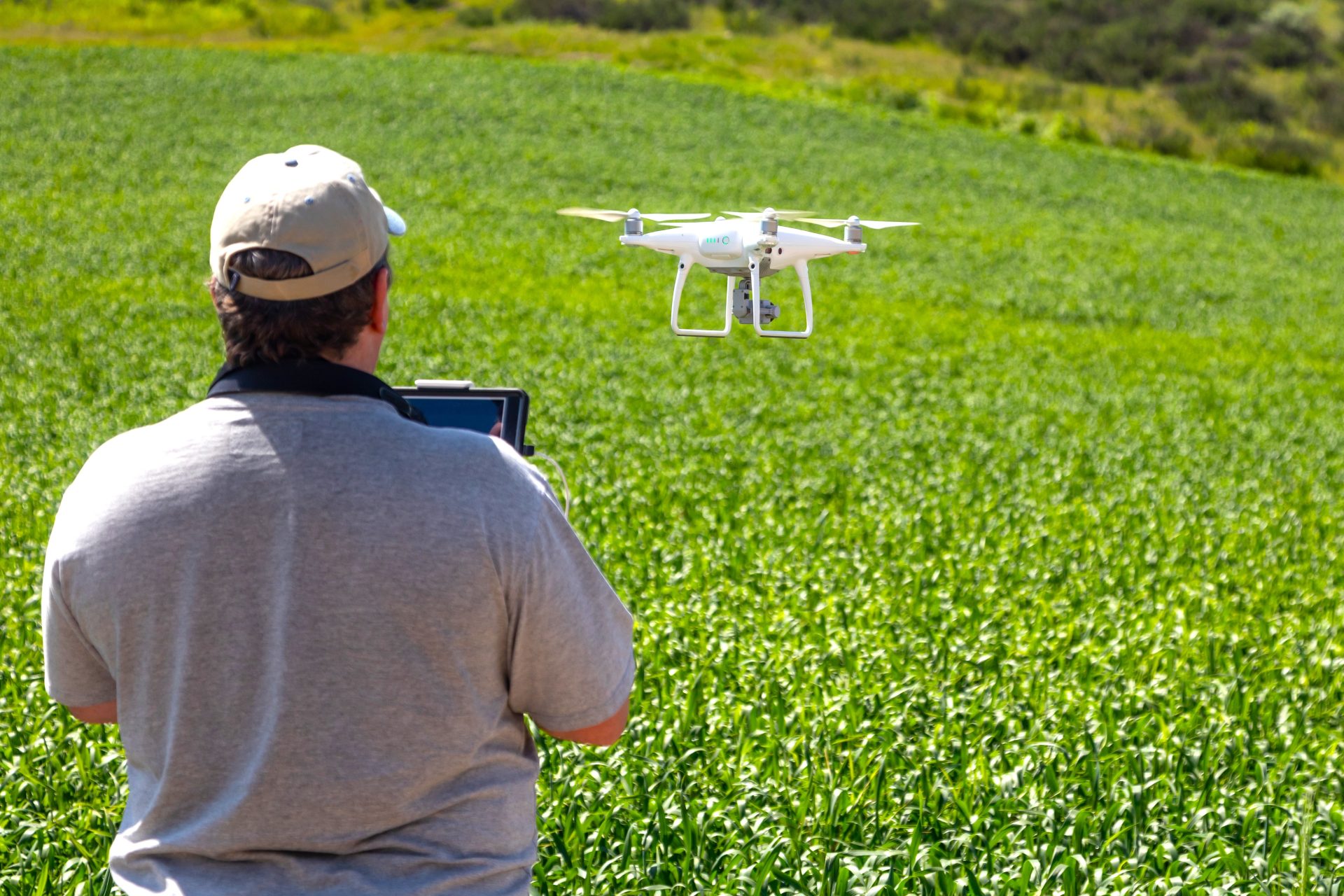 Drones y analisis inteligente llegan al campo de Zipaquira para transformar la produccion ganadera1