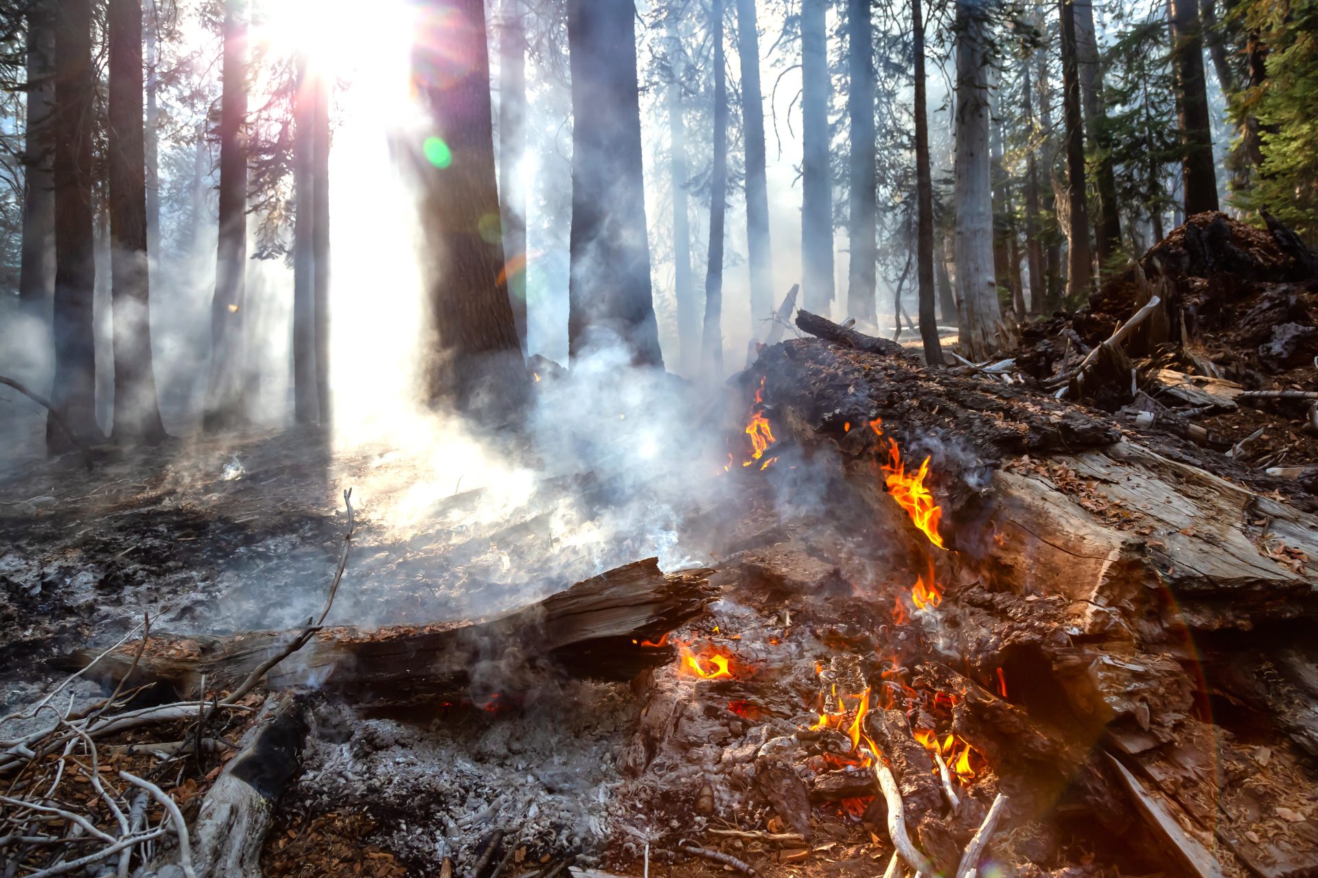 Los Alcaldes de Cundinamarca fueron convocados ante amenaza de sequias incendios y escasez de agua2