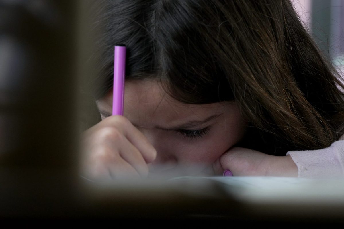 Ninos no pueden ser separados de sus familias sin ser escuchados