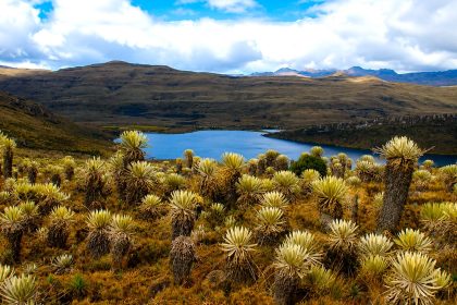 Paramo Cruz Verde–Sumapaz avanza en delimitacion con proteccion de 68.000 hectareas para Bogota y Cundinamarca1