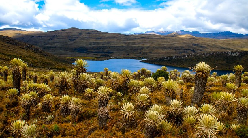 Paramo Cruz Verde–Sumapaz avanza en delimitacion con proteccion de 68.000 hectareas para Bogota y Cundinamarca1