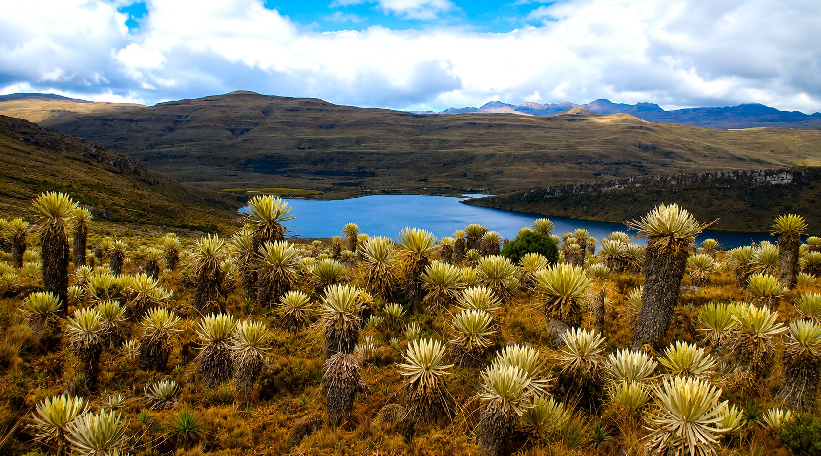 Paramo Cruz Verde–Sumapaz avanza en delimitacion con proteccion de 68.000 hectareas para Bogota y Cundinamarca1