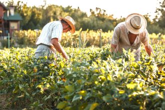 Tribunal de Cundinamarca lanza fuerte llamado a la ANT por tramites agrarios paralizados durante casi seis anos1 1
