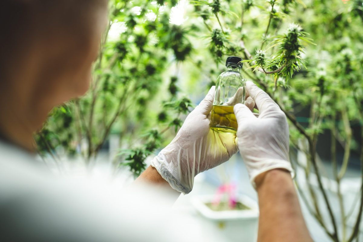 botanical oil experiment in lab with gloved hands 2026 03 24 15 36 32 utc