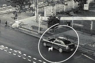Cámaras registraron presunto abandono de una perrita en Cajicá: autoridades piden ayuda para ubicar a sus posibles dueños 11 Cámaras registraron presunto abandono de una perrita en Cajicá: autoridades piden ayuda para ubicar a sus posibles dueños 10