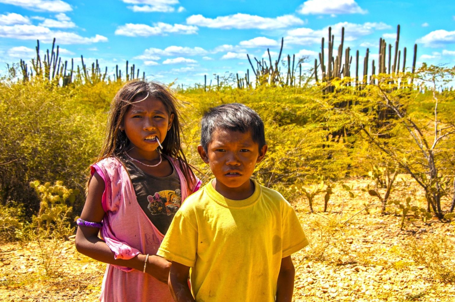 Corte ordena garantizar educacion y transporte escolar a comunidades wayuu de La Guajira1