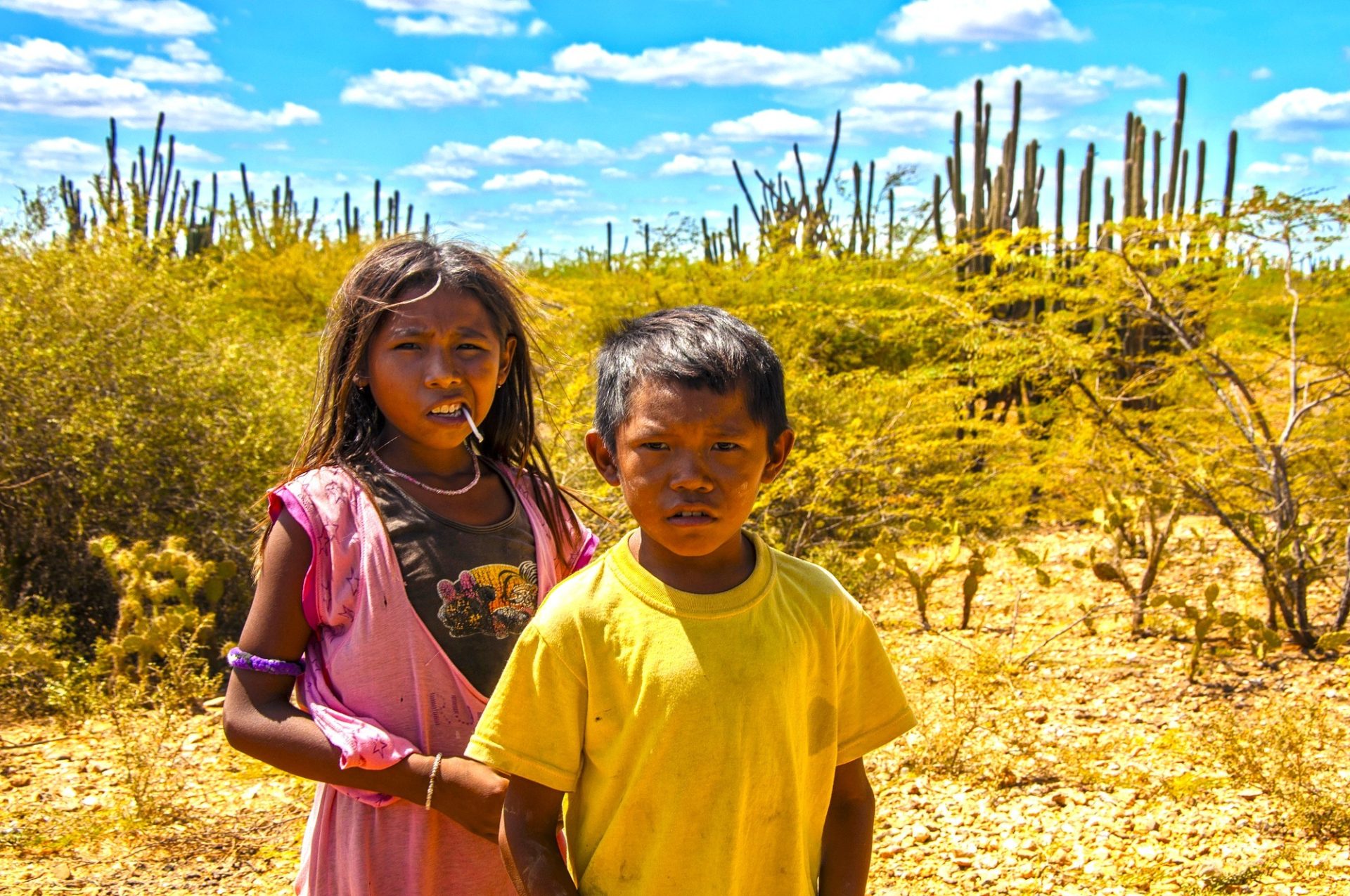 Corte ordena garantizar educacion y transporte escolar a comunidades wayuu de La Guajira1