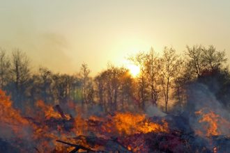 Cundinamarca enfrenta riesgo de sequias e incendios forestales ante posible llegada de un fenomeno de El Nino fuerte1