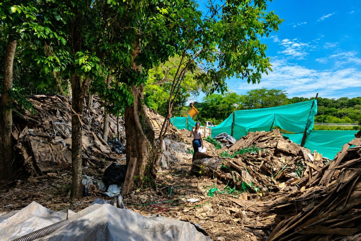 Medida ambiental frena proyecto solar en Guaduas por presuntas afectaciones hidricas