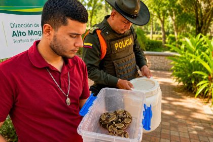 Rescatan serpiente cascabel y una boa constrictora en Ricaurte tras alerta de la comunidad 12
