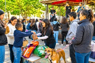 Rock Animal Fest 2026 en Zipaquirá: rock, solidaridad y alimento para perros y gatos vulnerables 20