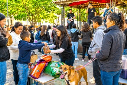 Rock Animal Fest 2026 en Zipaquirá: rock, solidaridad y alimento para perros y gatos vulnerables 30