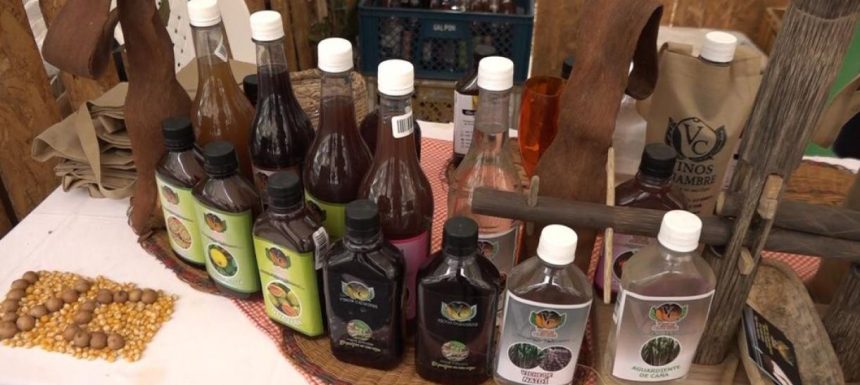 MinCultura asigna código de certificación al viche para formalizar su comercialización en el país 10