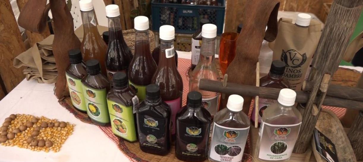 MinCultura asigna código de certificación al viche para formalizar su comercialización en el país 12