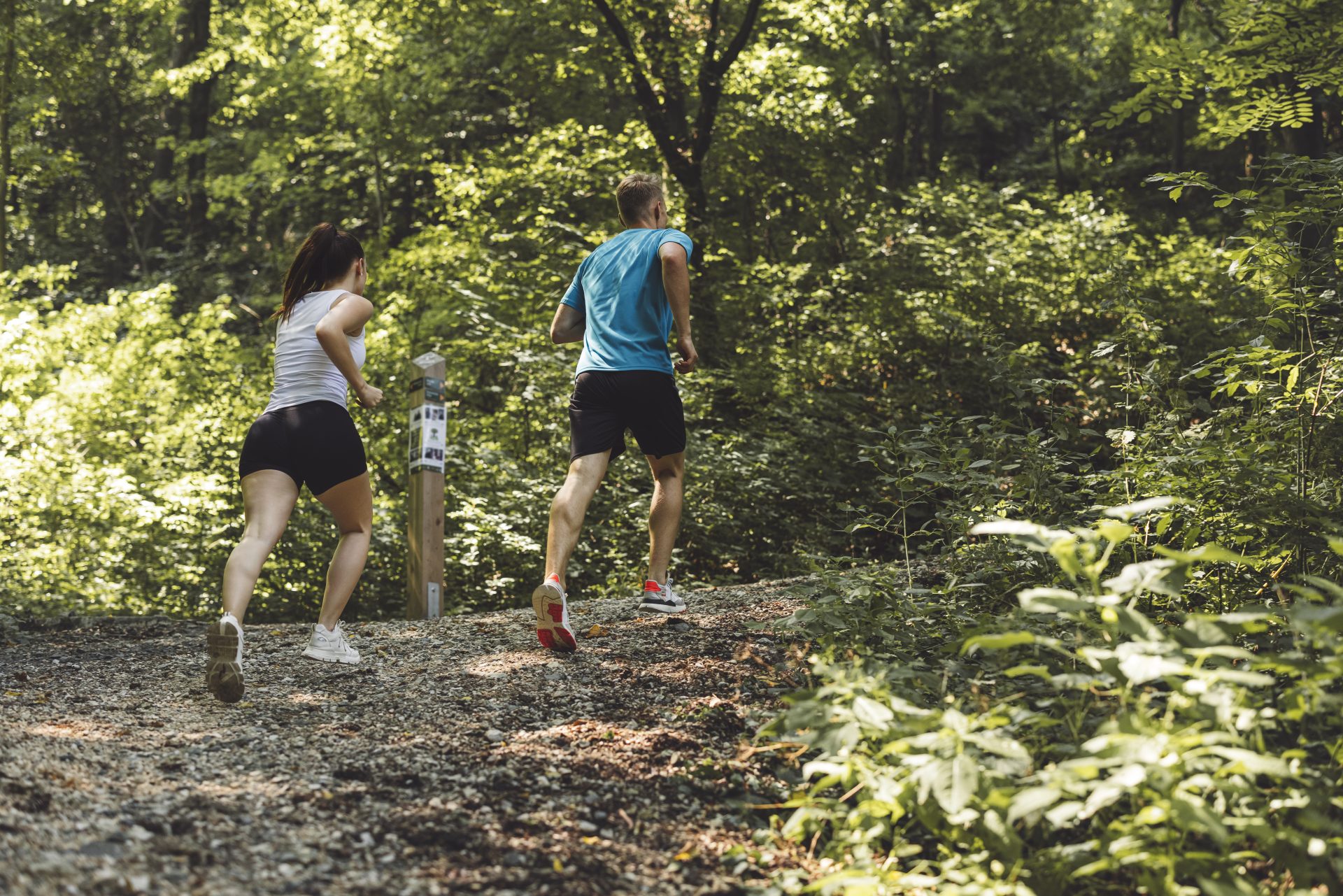 Sabana Trail Extrategia Medios: Cajicá será sede de una carrera de montaña con distancias de 6K, 16K y 21K 17