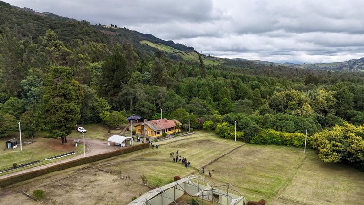 Cundinamarca tendrá su primer jardín botánico de páramo: 209 hectáreas y 21 especies de frailejones en Tausa 11
