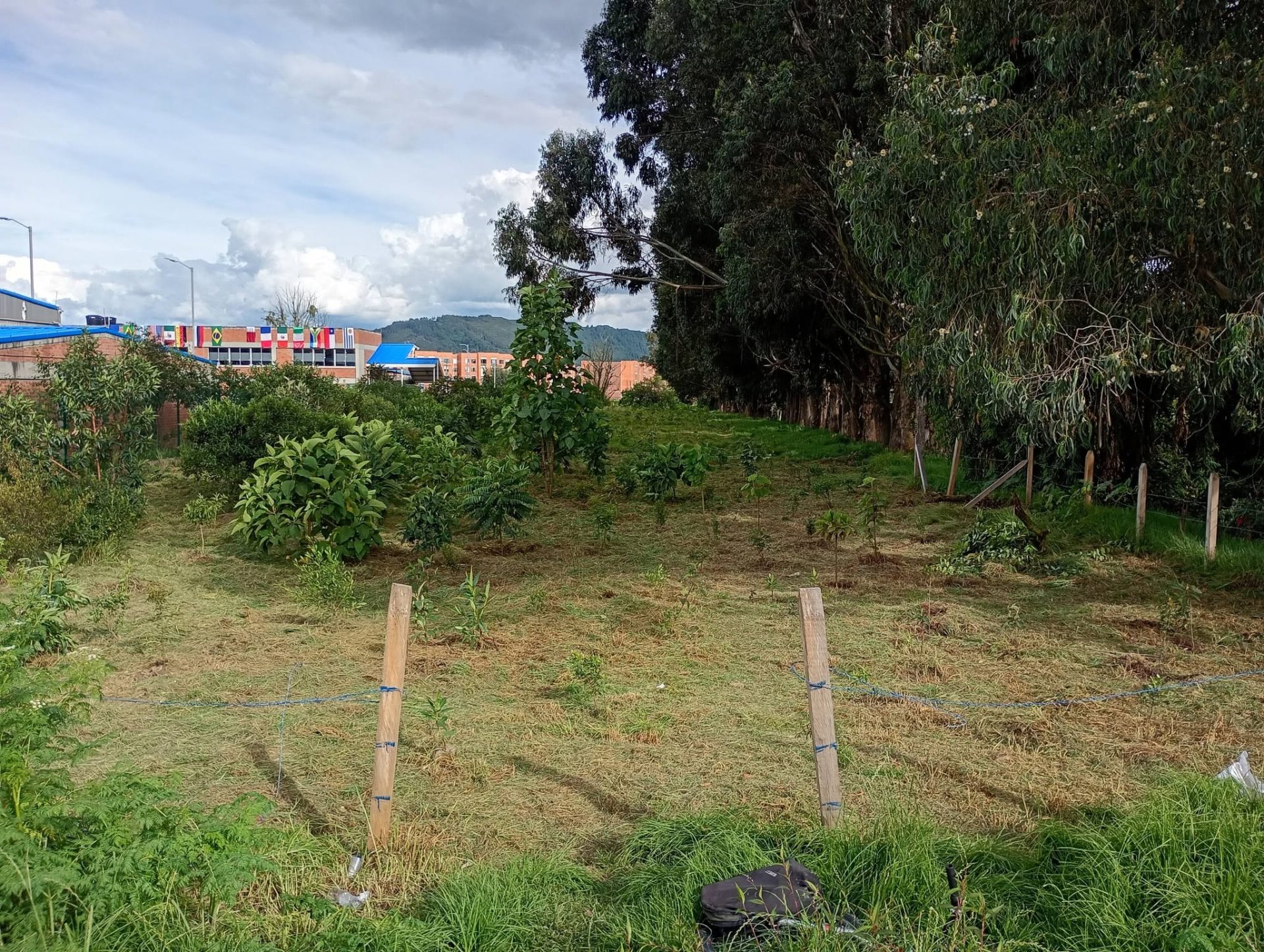 Sembrarte VI: el evento que invita a redescubrir la quebrada El Amoladero, uno de los tesoros naturales de Zipaquirá 3
