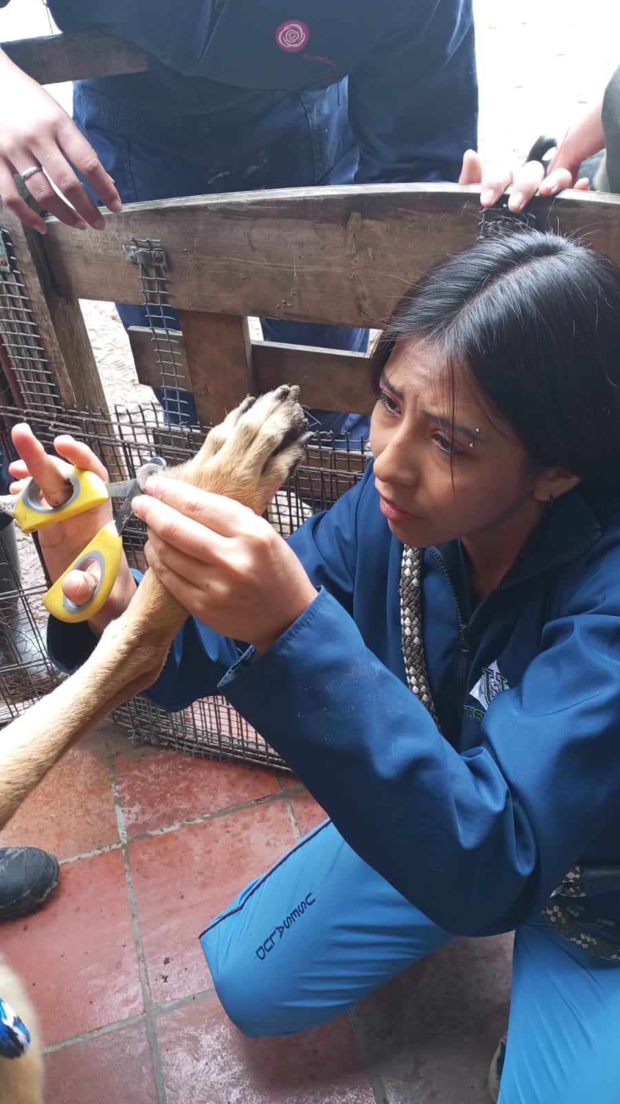 Con modelo SENA y formación práctica, Usesalud abre matrículas para ocho programas técnicos en Zipaquirá 10