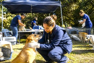 Cundinamarca incluirá a los animales en planes de emergencia y desastres de los 116 municipios 9 Cundinamarca incluirá a los animales en planes de emergencia y desastres de los 116 municipios 8