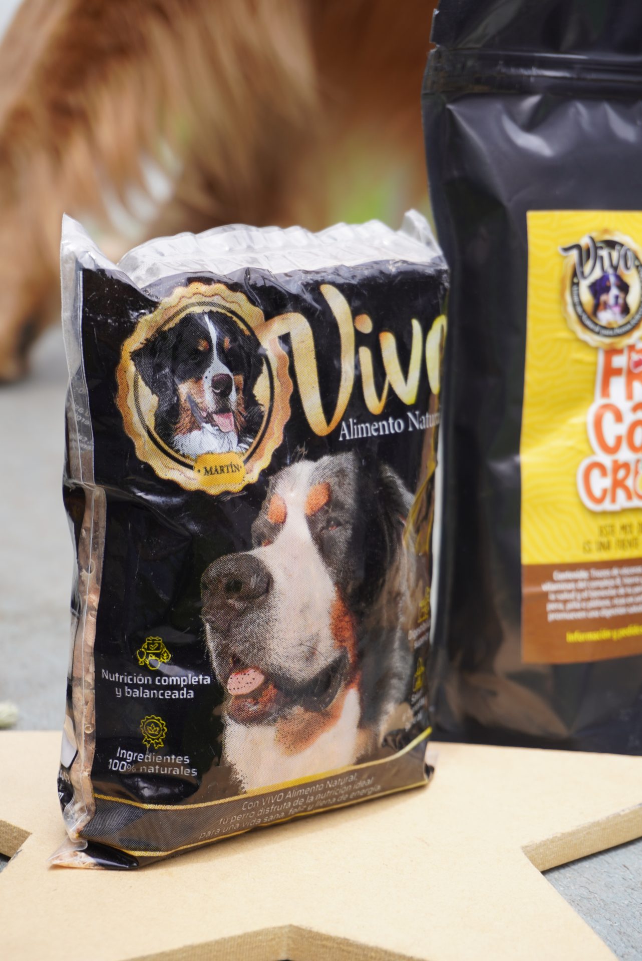 Alimentación natural para perros en Zipaquirá: la historia de la familia que creó Vivo para su propio perro 4