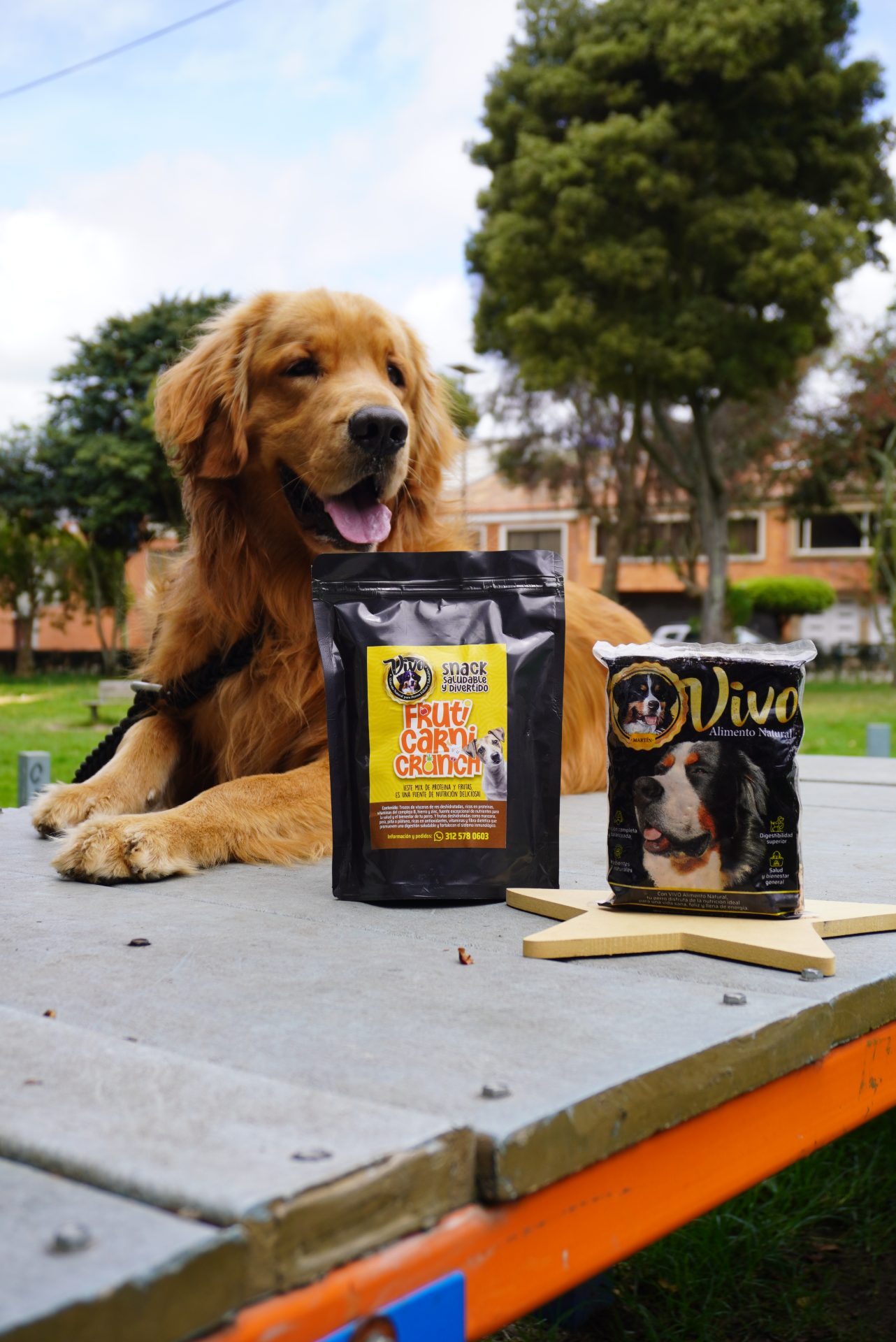Alimentación natural para perros en Zipaquirá: la historia de la familia que creó Vivo para su propio perro 3