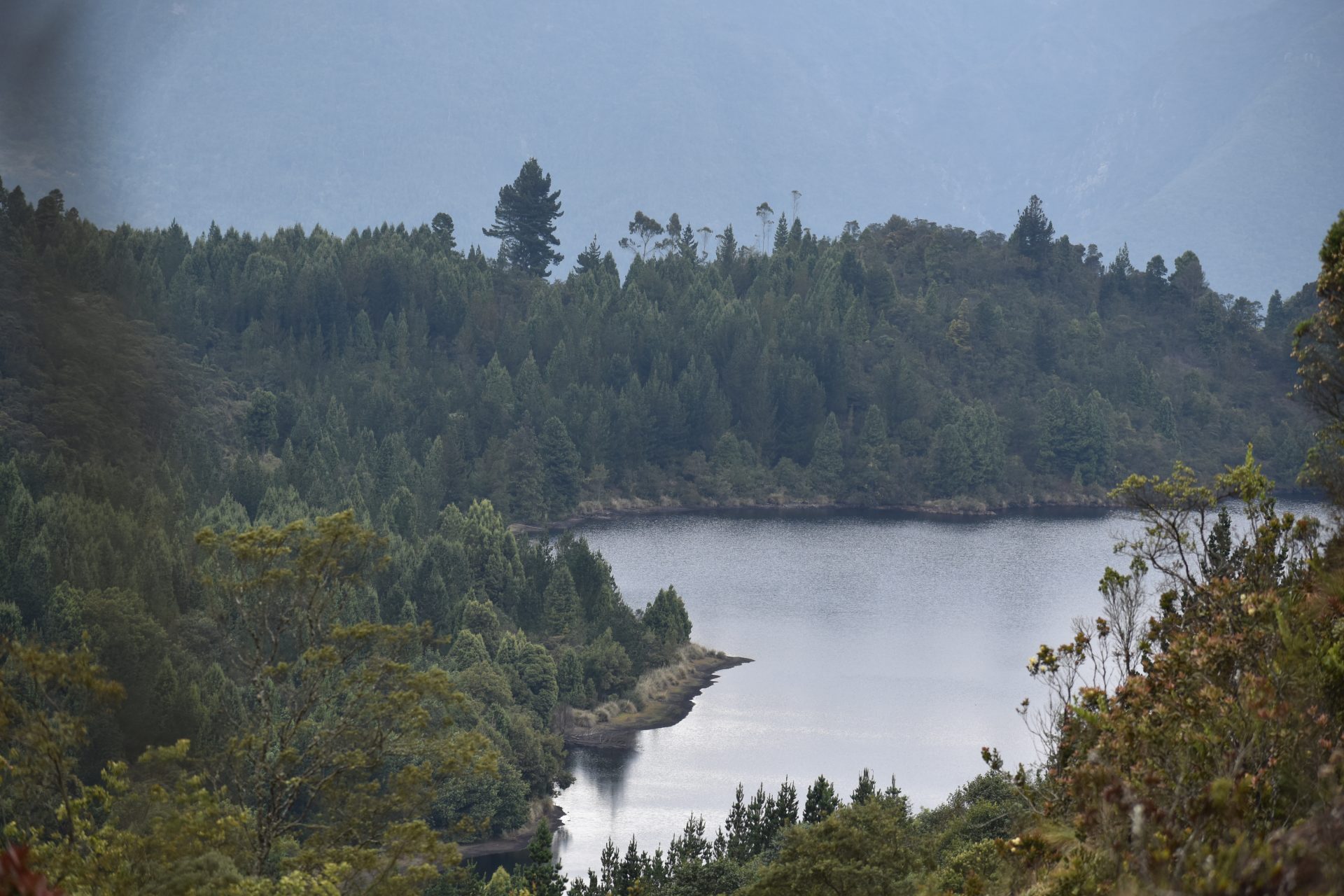 Advierten riesgo de racionamiento de agua en el 80% de los municipios de Cundinamarca ante fenómeno de El Niño 5