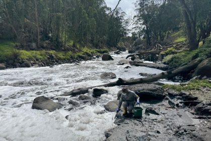 Hallan residuos de analgésicos, antibióticos y antihipertensivos en el río Bogotá 19 Hallan residuos de analgésicos, antibióticos y antihipertensivos en el río Bogotá 15