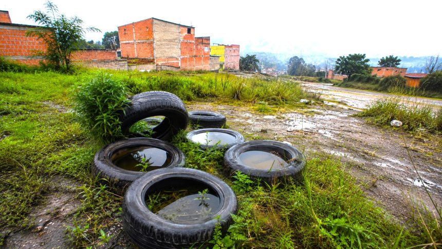 Llantas usadas mal desechadas pueden causar contaminación, enfermedades e inundaciones 1 Llantas usadas mal desechadas pueden causar contaminación, enfermedades e inundaciones