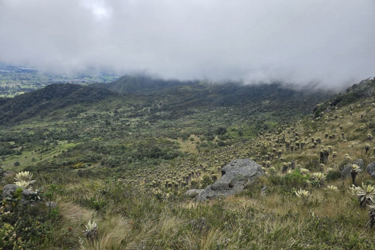 Zipaquirá suma 208 hectáreas del Páramo de Guerrero a un programa de conservación con pago a campesinos