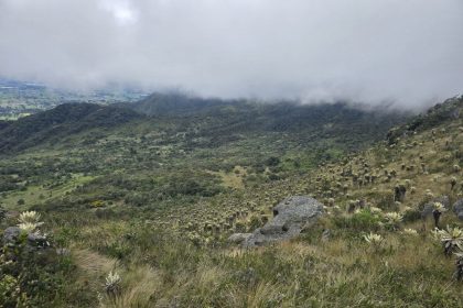 Zipaquirá suma 208 hectáreas del Páramo de Guerrero a un programa de conservación con pago a campesinos 25 Zipaquirá suma 208 hectáreas del Páramo de Guerrero a un programa de conservación con pago a campesinos 24