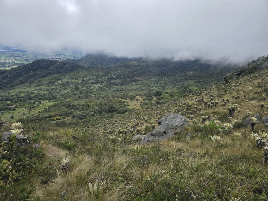 Zipaquirá suma 208 hectáreas del Páramo de Guerrero a un programa de conservación con pago a campesinos 1 Zipaquirá suma 208 hectáreas del Páramo de Guerrero a un programa de conservación con pago a campesinos