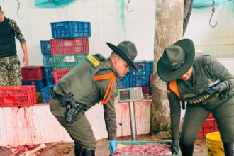 Megatoma de seguridad en Cundinamarca: desmantelado matadero clandestino de carne equina que contaminaba el río Subía 16