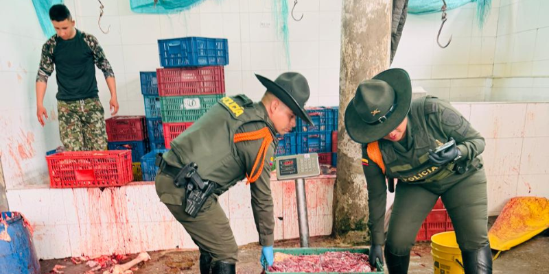 Megatoma de seguridad en Cundinamarca: desmantelado matadero clandestino de carne equina que contaminaba el río Subía 1 Megatoma de seguridad en Cundinamarca: desmantelado matadero clandestino de carne equina que contaminaba el río Subía