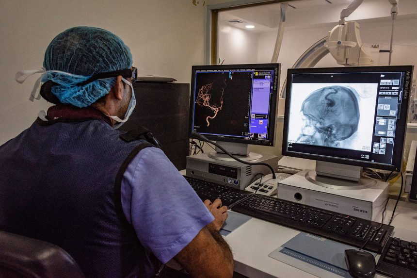 Investigadores colombianos identifican compuestos de Cordyceps militaris que potenciarían la quimioterapia contra el glioblastoma