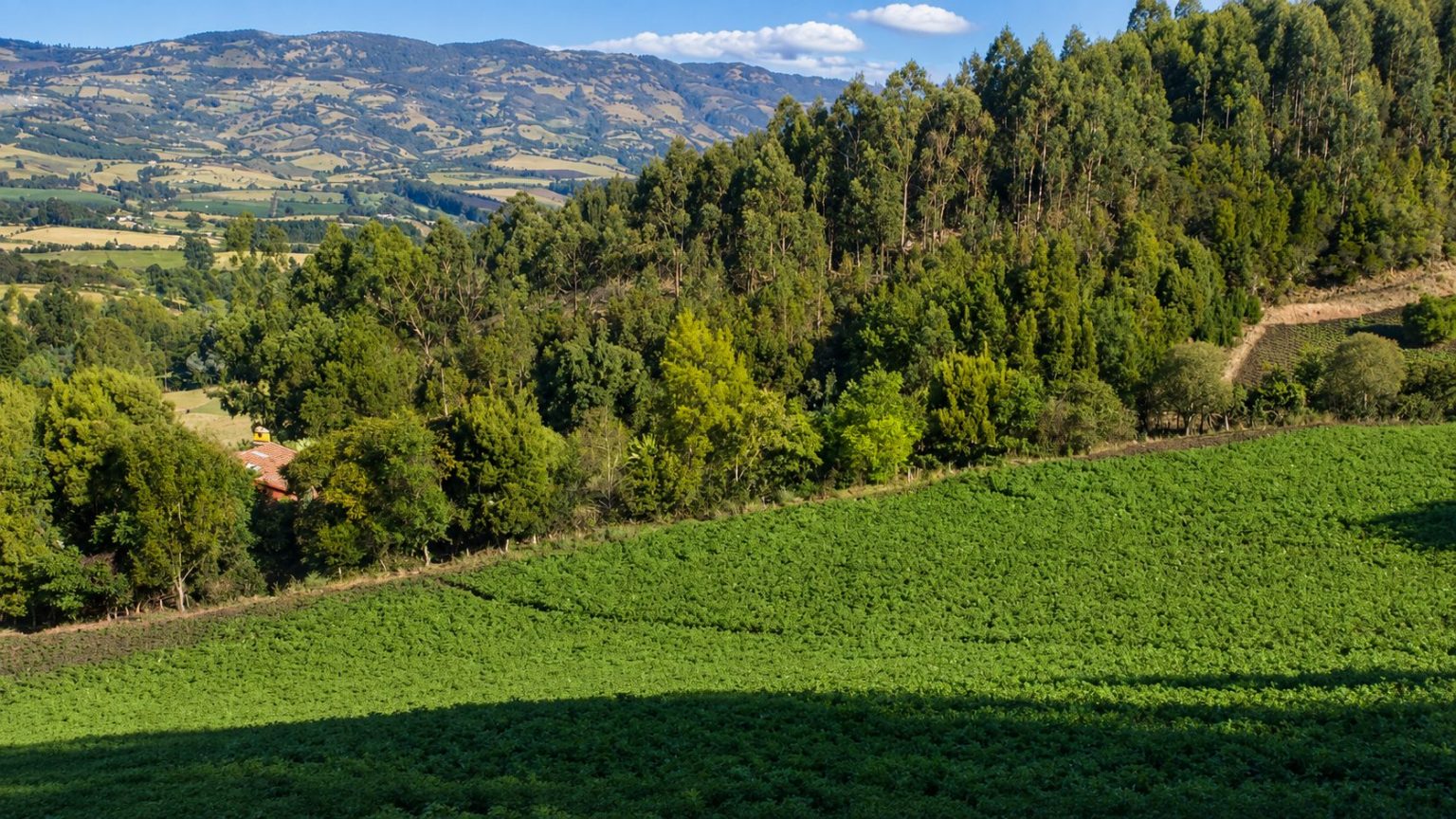 Cogua, Zipaquirá, Tabio y Subachoque: ANLA da vía libre al tramo definitivo del proyecto eléctrico Chivor II 1 Cogua, Zipaquirá, Tabio y Subachoque: ANLA da vía libre al tramo definitivo del proyecto eléctrico Chivor II