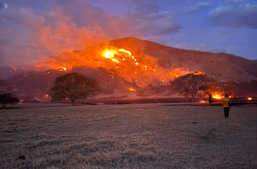 Cundinamarca combate 14 incendios forestales: cinco nuevos focos mantienen movilizados a los organismos de emergencia 1 Cundinamarca combate 14 incendios forestales: cinco nuevos focos mantienen movilizados a los organismos de emergencia