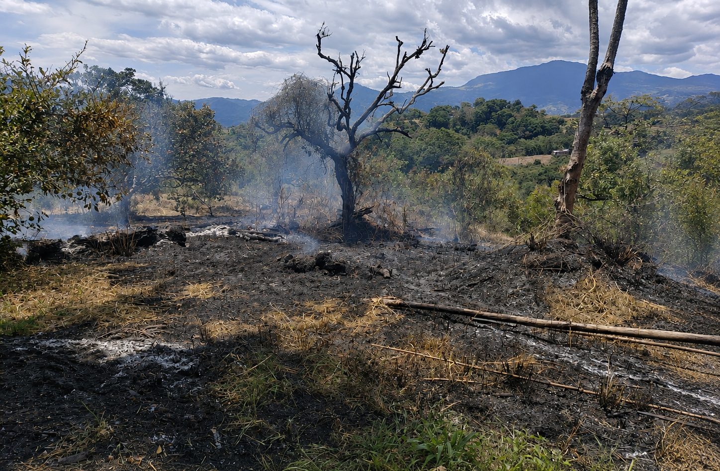 Cundinamarca se prepara para El Niño: 27 municipios aún deben completar sus planes de contingencia 7 Cundinamarca se prepara para El Niño: 27 municipios aún deben completar sus planes de contingencia 6