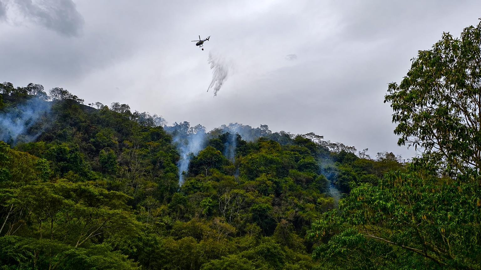 Más de 24 descargas aéreas fueron necesarias para extinguir incendio forestal en La Vega