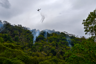 Más de 24 descargas aéreas fueron necesarias para extinguir incendio forestal en La Vega 13 Más de 24 descargas aéreas fueron necesarias para extinguir incendio forestal en La Vega 12