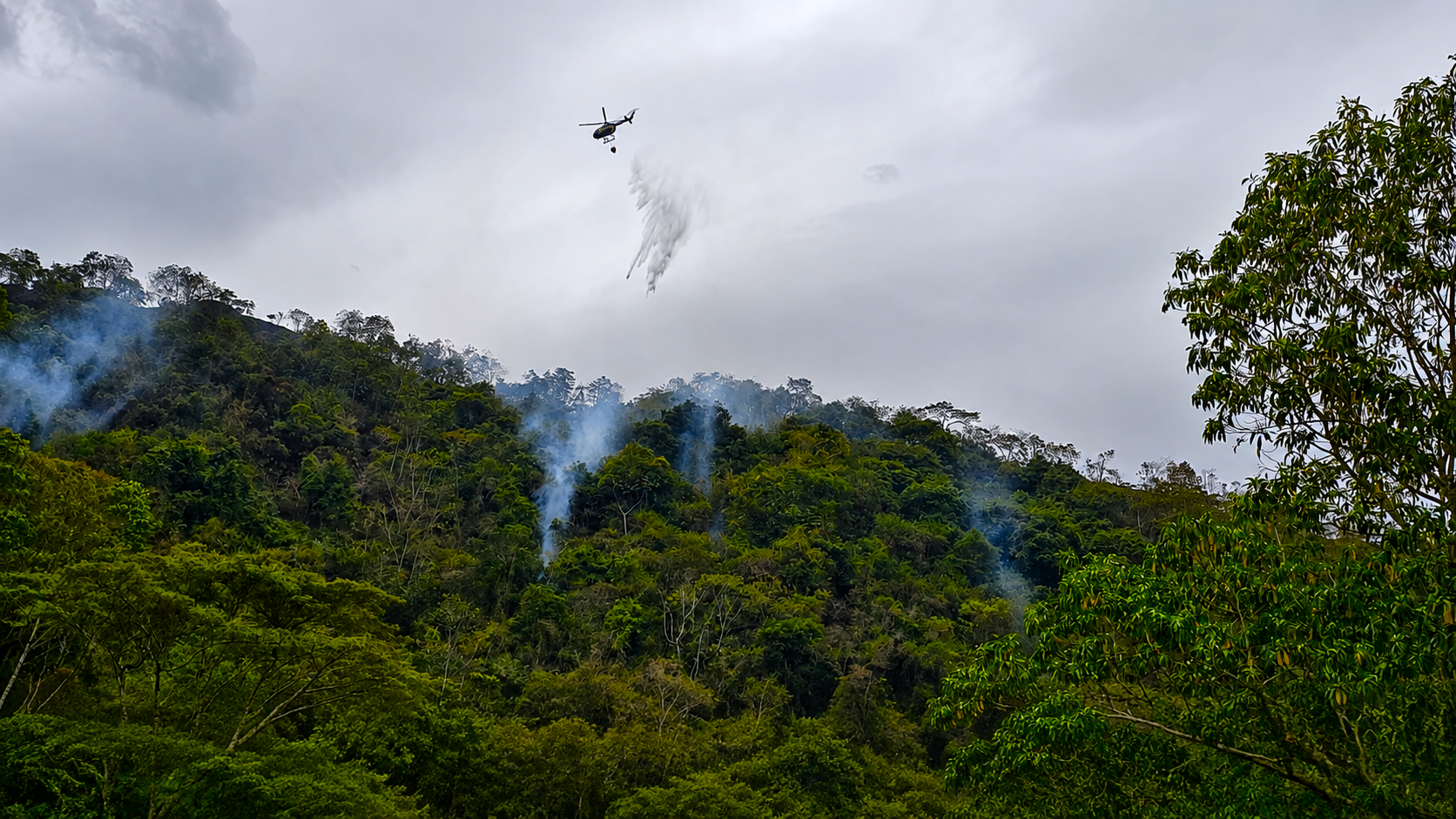 Más de 24 descargas aéreas fueron necesarias para extinguir incendio forestal en La Vega 8