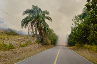 Ocho incendios forestales afectan a Cundinamarca: siete permanecen activos en cinco municipios 12