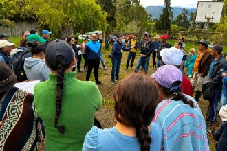 Monitoreo especial por posible presencia de oso andino en zona ganadera de Machetá 12