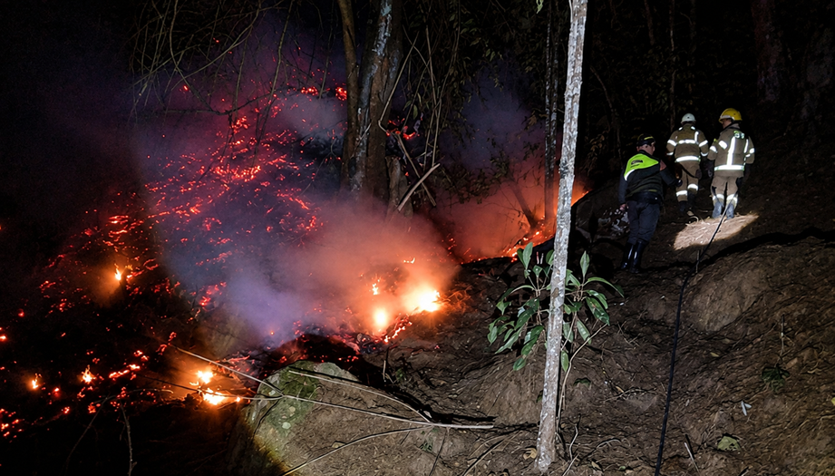 Cundinamarca combate 14 incendios forestales: cinco nuevos focos mantienen movilizados a los organismos de emergencia 1