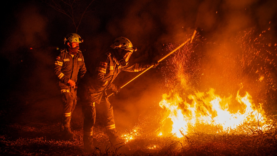 Incendios forestales cercan al Tolima: más de 20.000 hectáreas afectadas y 14 municipios en emergencia 3 Incendios forestales cercan al Tolima: más de 20.000 hectáreas afectadas y 14 municipios en emergencia 2