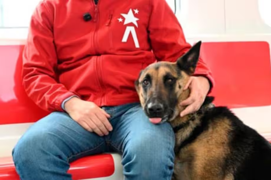 El Metro de Bogotá confirma que las mascotas podrán viajar en sus trenes 10
