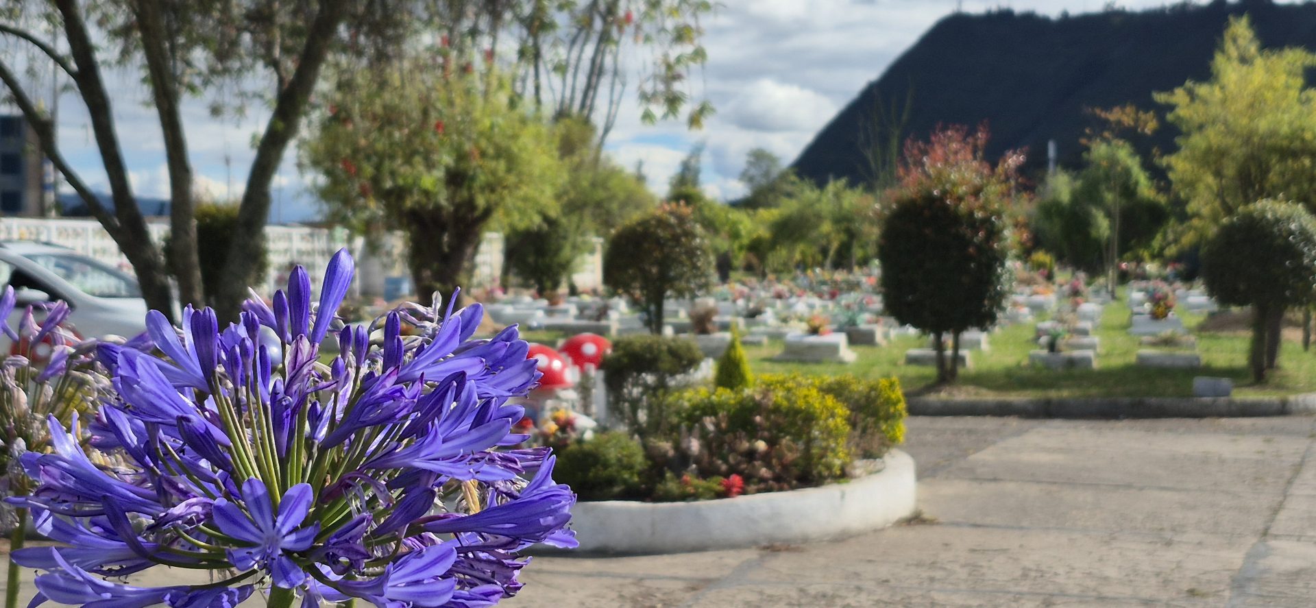 Previvir Exequial y Parque Cementerio Zipaquirá consolidan su oferta de previsión familiar y servicios funerarios en Sabana Centro 2