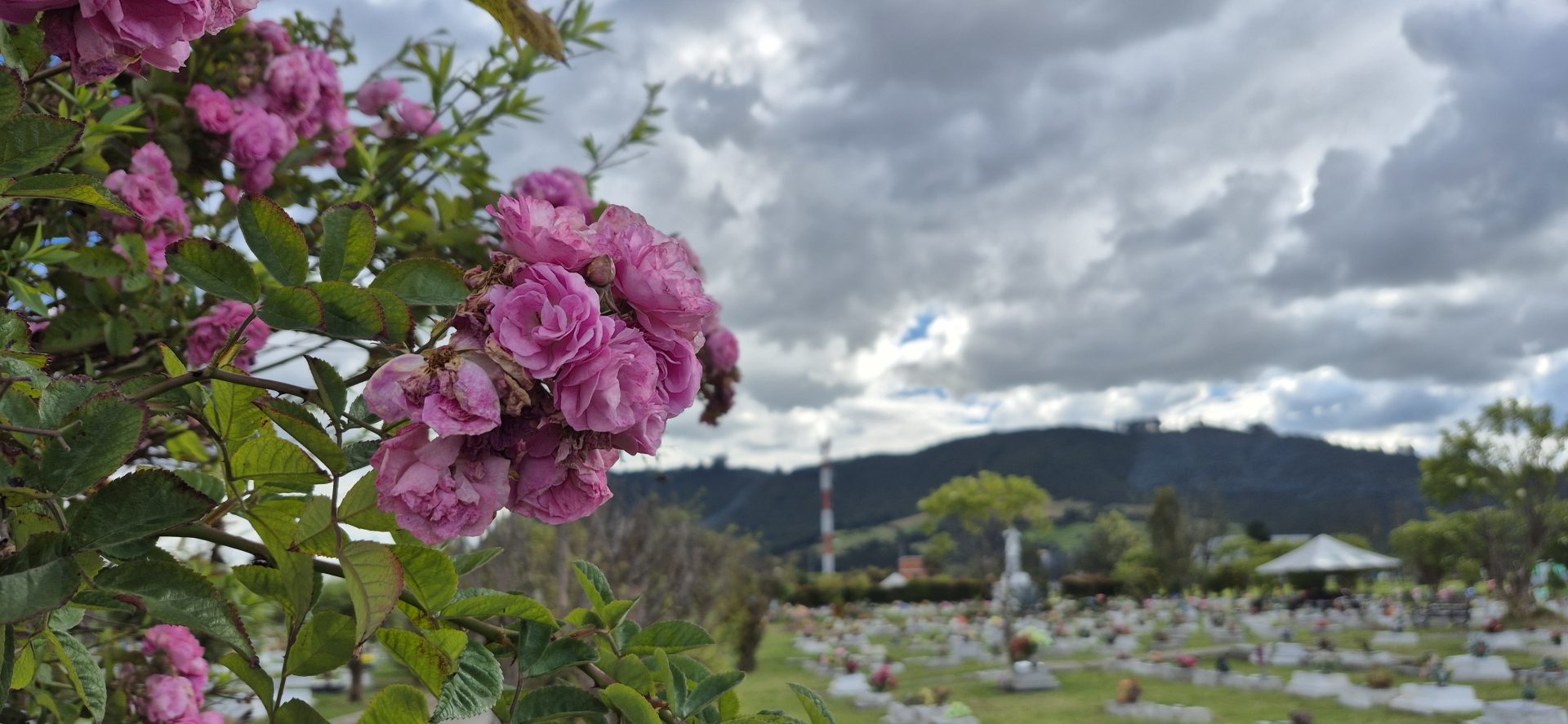 Previvir Exequial y Parque Cementerio Zipaquirá consolidan su oferta de previsión familiar y servicios funerarios en Sabana Centro 4