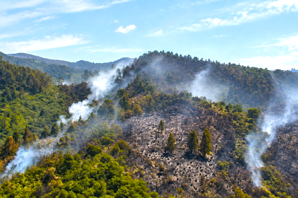 Cundinamarca supera los 841 incendios forestales en 2026: 85 municipios han resultado afectados 2